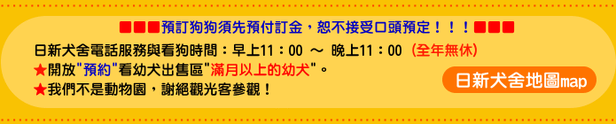 日新犬舍地圖