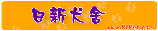 日新犬舍-幼犬出售,泰迪貴賓,柴犬,法國鬥牛,威爾斯柯基犬,馬爾濟斯,比熊犬,拉布拉多,黃金獵犬,松鼠博美,買狗,寵物店