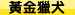 黃金獵犬,黃金獵犬幼犬購買,黃金獵犬犬舍,黃金獵犬缺點,黃金獵犬壽命,黃金獵犬領養,黃金獵犬幼犬價格,黃金獵犬智商,黃金獵犬個性